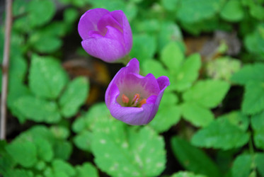 Similar image 21659338