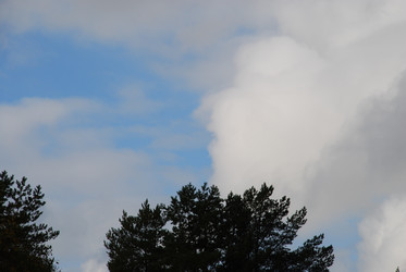 Similar image 21659339