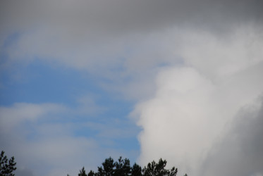 Similar image 21659340