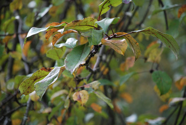 Similar image 21659341