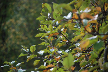 Similar image 21659342