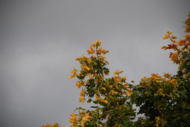 Similar image 21659345