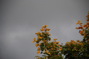 Similar image 21659346