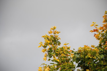 Similar image 21659347