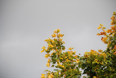 Similar image 21659348