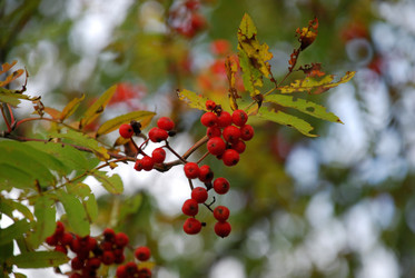 Similar image 21659349