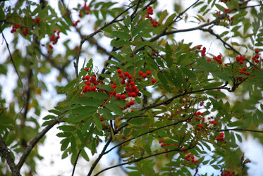 Similar image 21659350