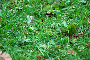 Similar image 21659352