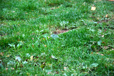 Similar image 21659353