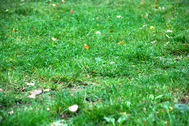 Similar image 21659354