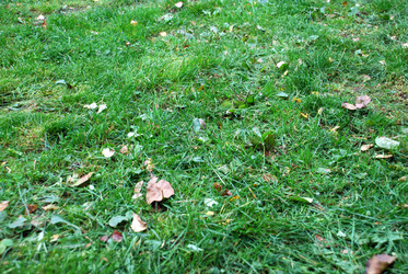 Similar image 21659355