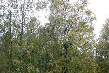 Similar image 21659357