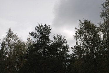 Similar image 21659359