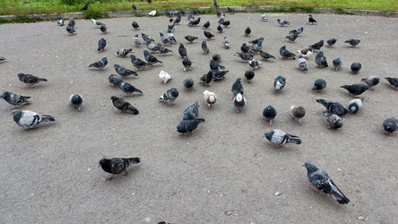 Similar image 21659364