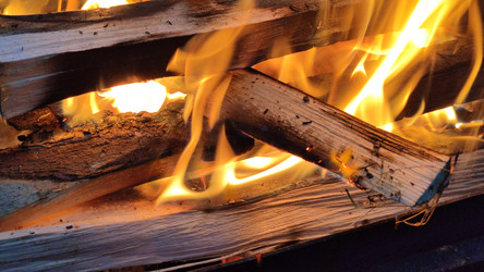 Similar image 21659369