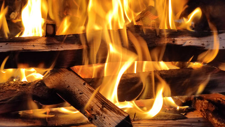 Similar image 21659370