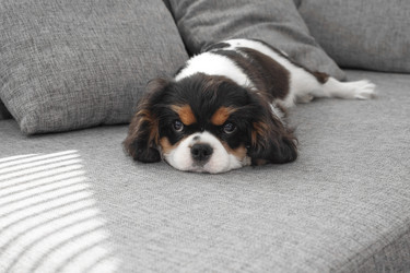 Similar image 21658849