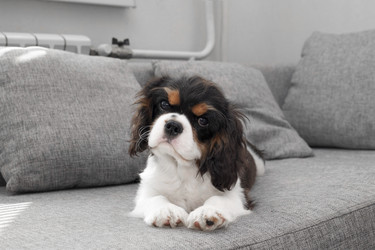 Similar image 21658850