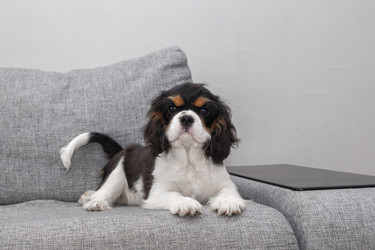 Similar image 21658851