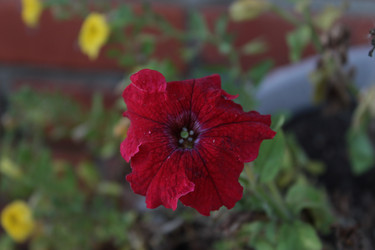 Similar image 21658852