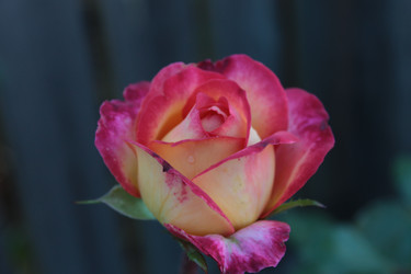 Similar image 21658853