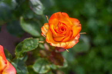 Similar image 21659563