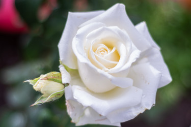 Similar image 21659564