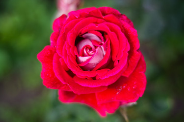 Similar image 21659565