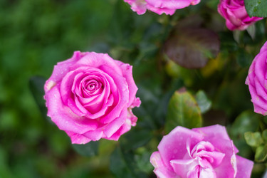 Similar image 21659566