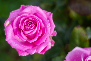 Similar image 21659567