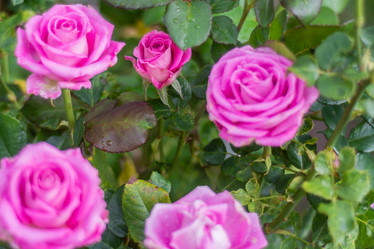 Similar image 21659568