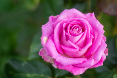 Similar image 21659569