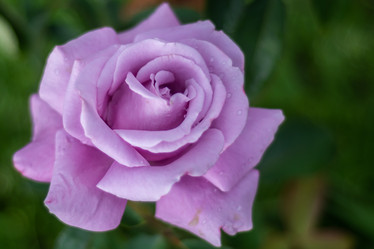 Similar image 21659579