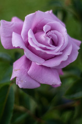 Similar image 21659580