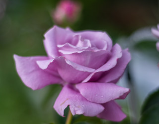 Similar image 21659581