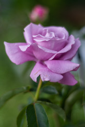 Similar image 21659582