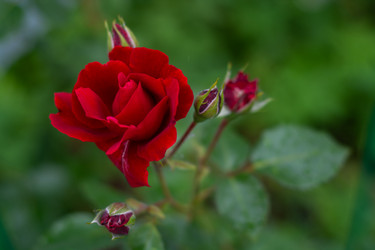 Similar image 21659583