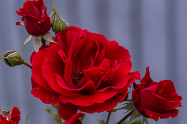 Similar image 21659584