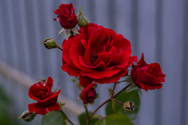 Similar image 21659585