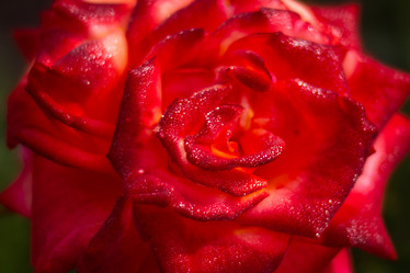 Similar image 21659588