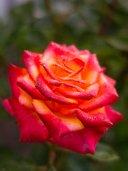 Similar image 21659591