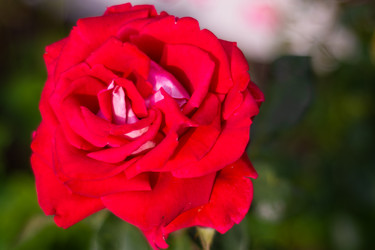 Similar image 21659593