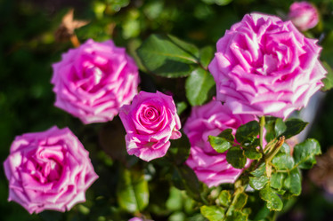 Similar image 21659758