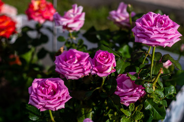 Similar image 21659762