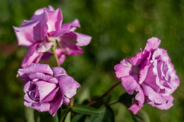 Similar image 21659763