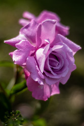 Similar image 21659764