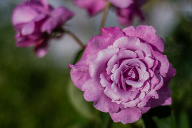 Similar image 21659765