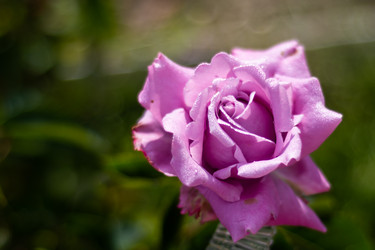 Similar image 21659773