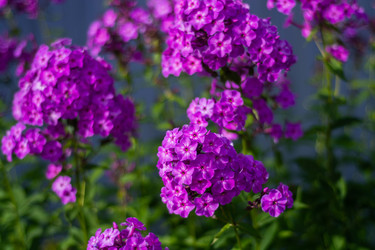 Similar image 21660154