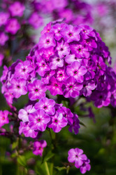 Similar image 21660156